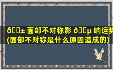 🐱 面部不对称影 🐵 响运势吗(面部不对称是什么原因造成的)